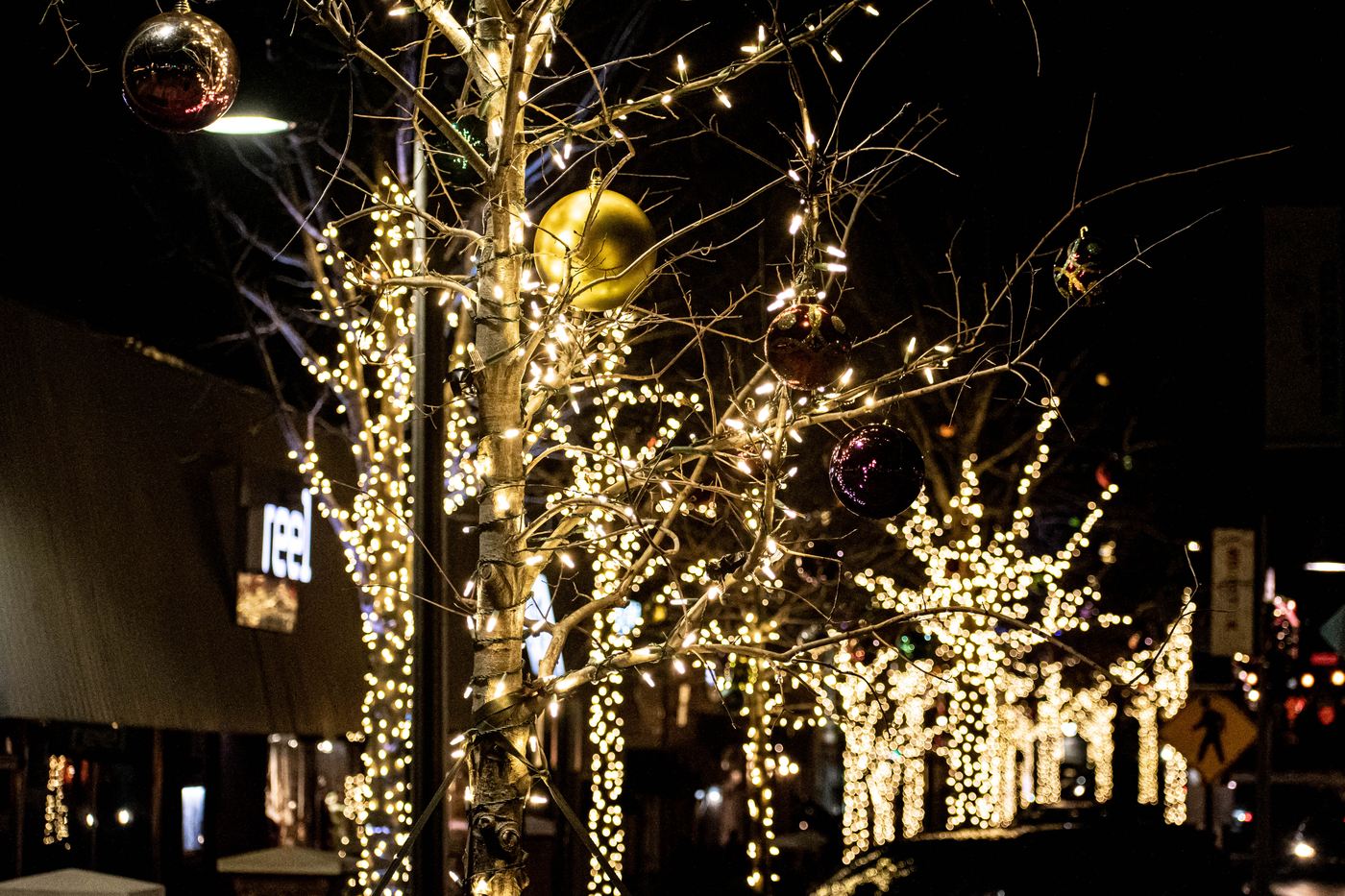District ornaments hung in the branches, stored between seasons