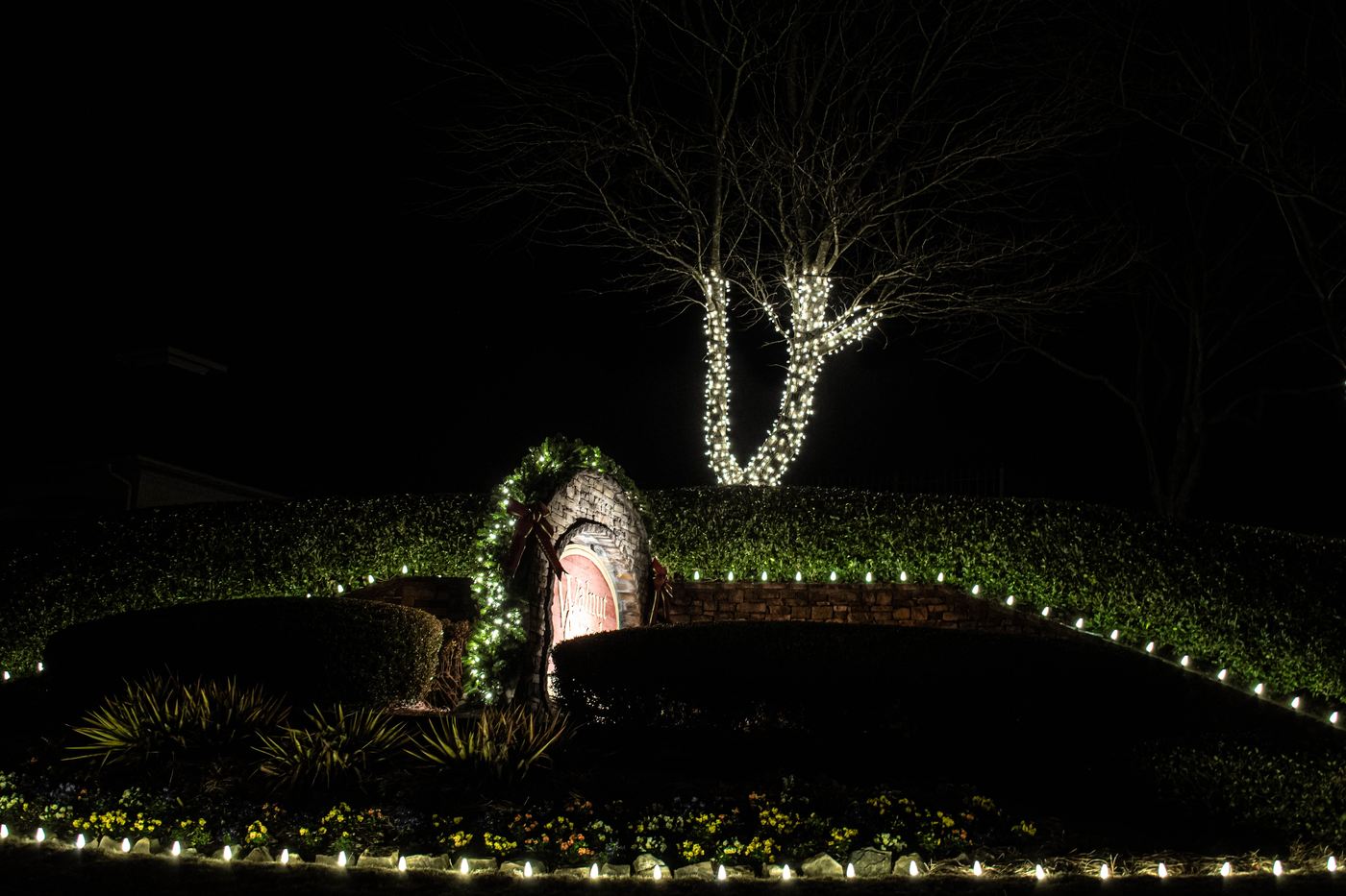 Garland and ribbon on the monument, wrapped tree behind, bed line lit to the street