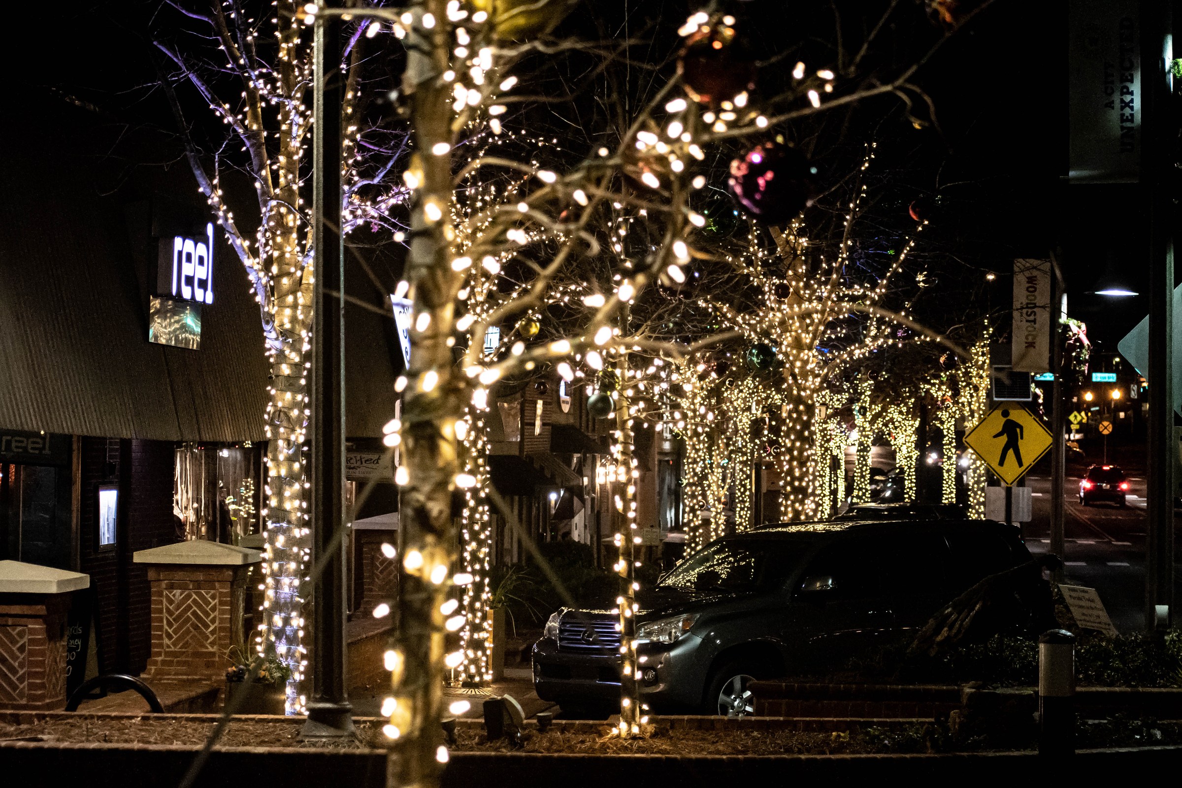 Downtown street trees wrapped in warm white at night
