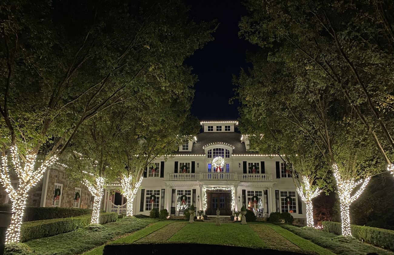 House, walk and specimen trees lit as one composition
