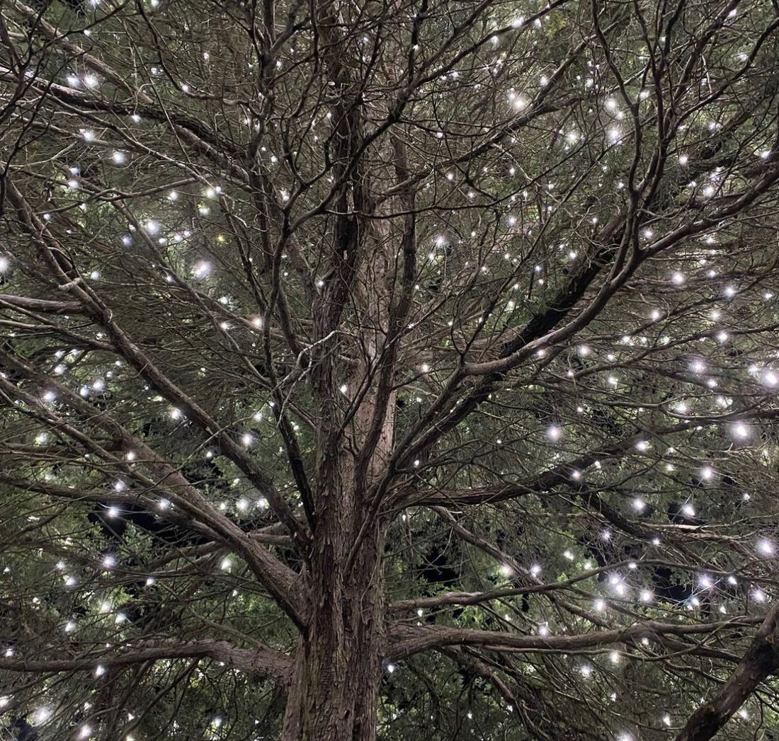 Branch by branch, the way a wrapped tree is actually built
